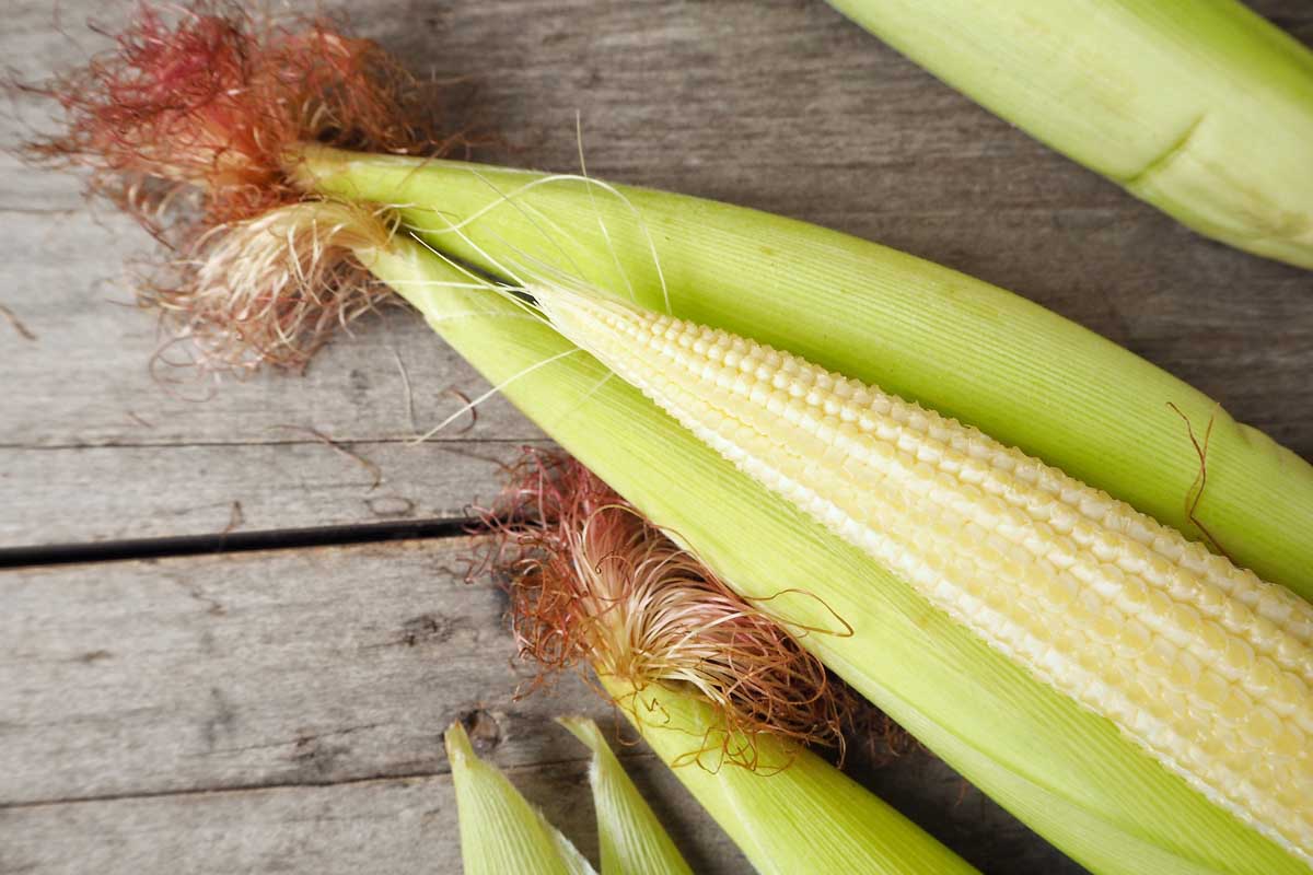 Several ears of baby corn partially in the husk laid out on a rustic wooden surface.