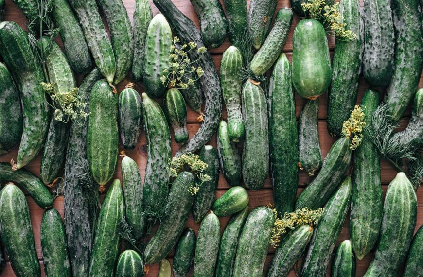 Variety of cucumbers on a wooden table.