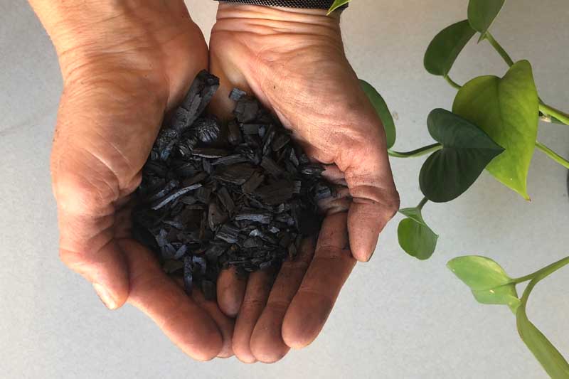 Biochar – What is it and How to Make Your Own Biochar