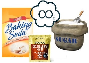Ingredients DIY C02 Generator: baking soda, distillers yeast, and sugar. 
