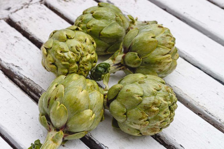6 Health Benefits of Eating Artichokes