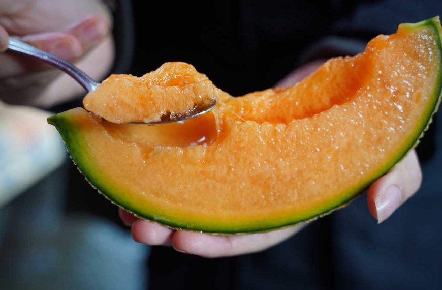 A human hand using a spoon to take a scoop out of a slice of a Yubari king melon.