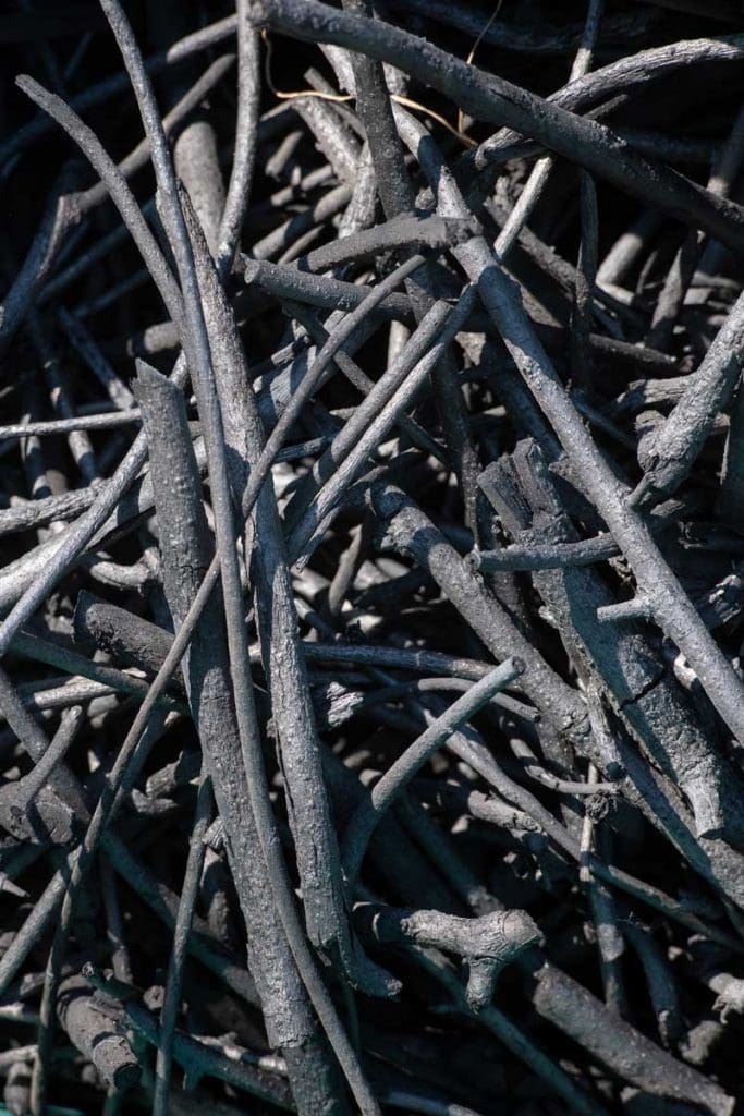 Top down view of twigs and branches made into biochar.e 