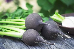 Closeup of three freshly harvested black radishes on wooden surface.