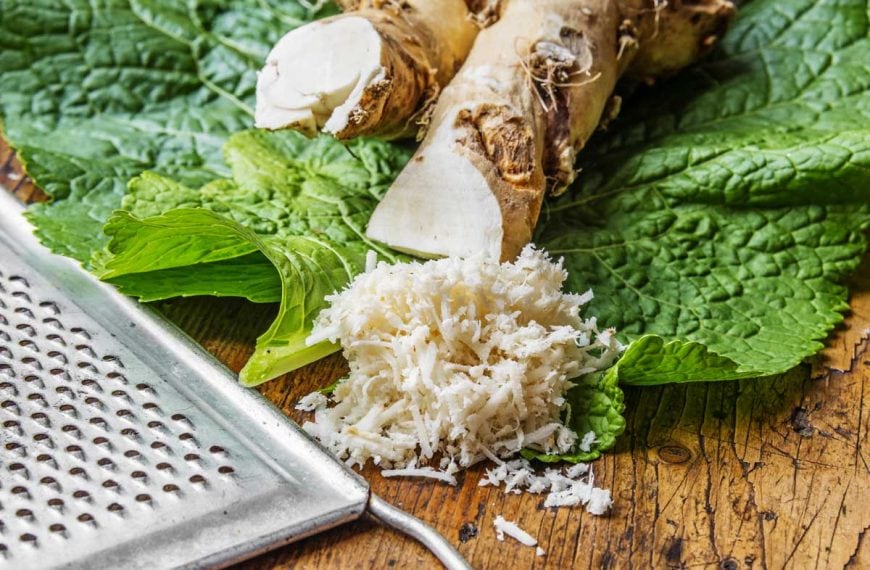 Grated horseradish with whole roots and leaves.