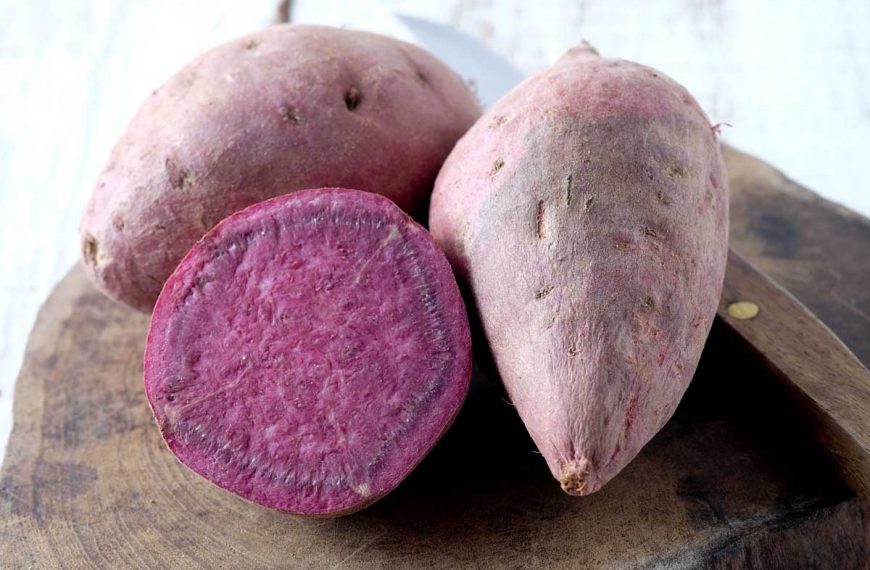 Learn About Growing Purple Sweet Potatoes