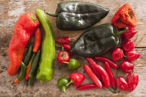 A selection of hot and sweet peppers of different varieties and colors on a wooden background.