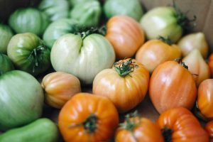 Home grown green and red tomatoes slowly ripening in a box.