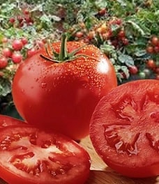 A picture of a  tomato  and a tomato cut in half. 