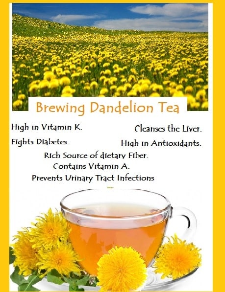 Dandelions and Tea