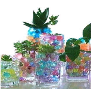 Plants Growing in Hydro Gel Water Crystals