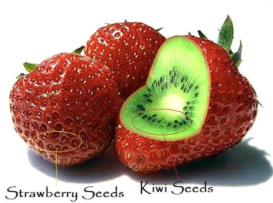 Kiwi Strawberry Berry