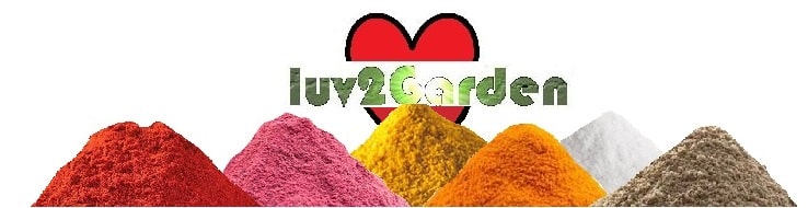 Assorted pulverized powdered foods. Veggie powders