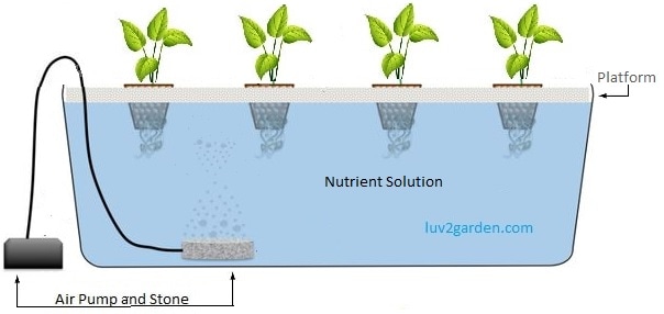 Diagram Hydroponic Water Culture System
