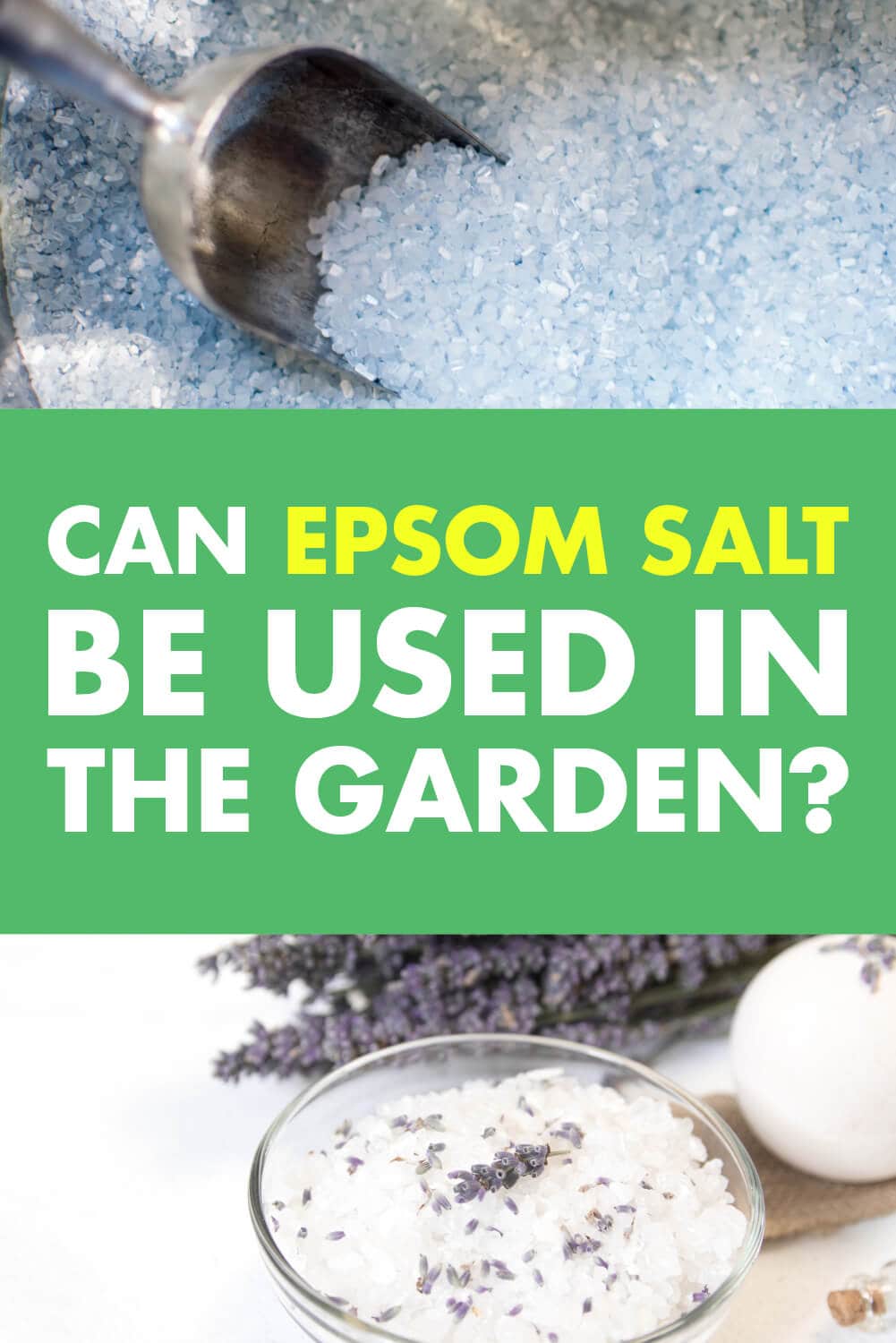 Epsom Salts as Fertilizer and Pest Control