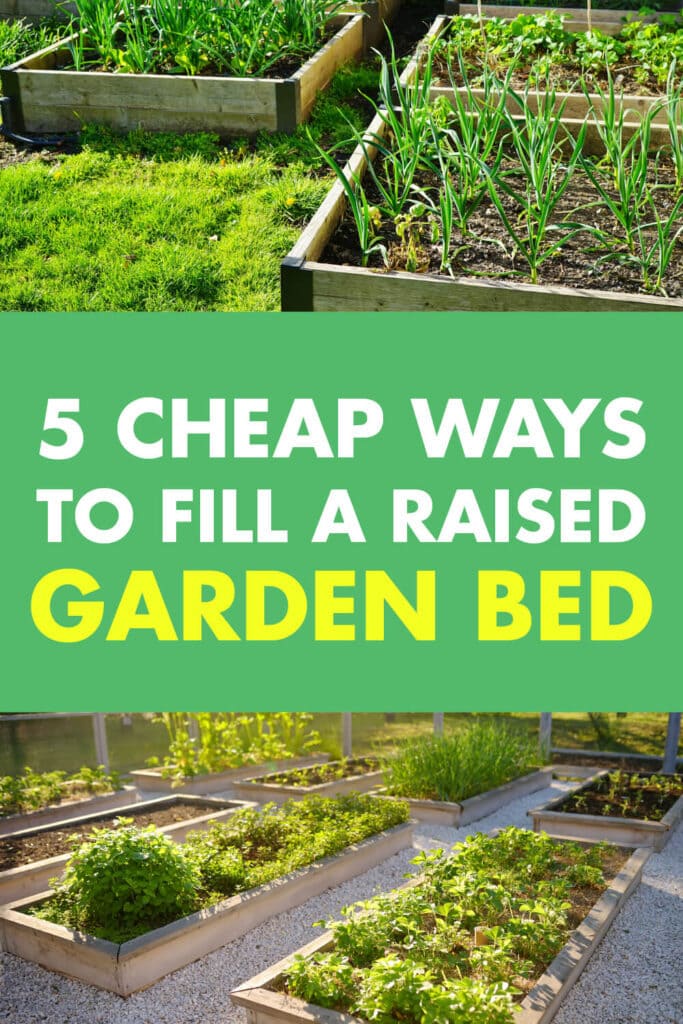 Two pictures of several raised garden beds. In-between the pictures is text that reads 5 cheap ways to fill a raised garden bed. 