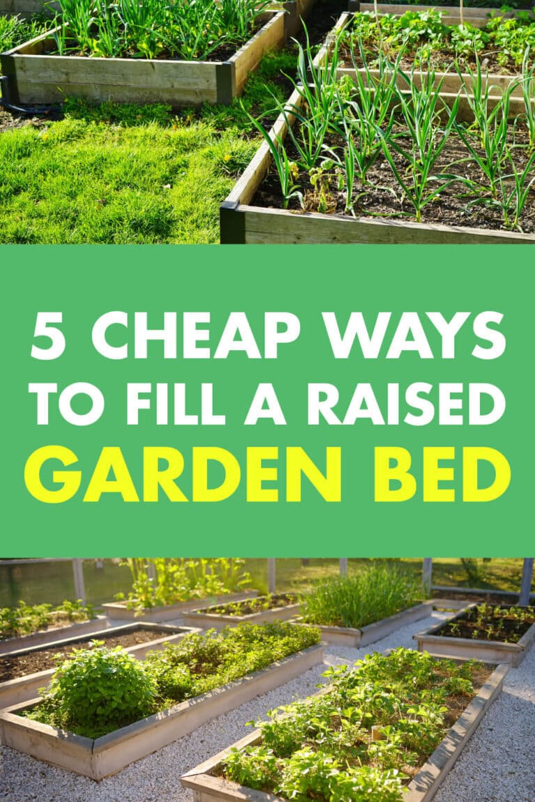 5 Cheap Ways to Fill a Raised Garden Bed