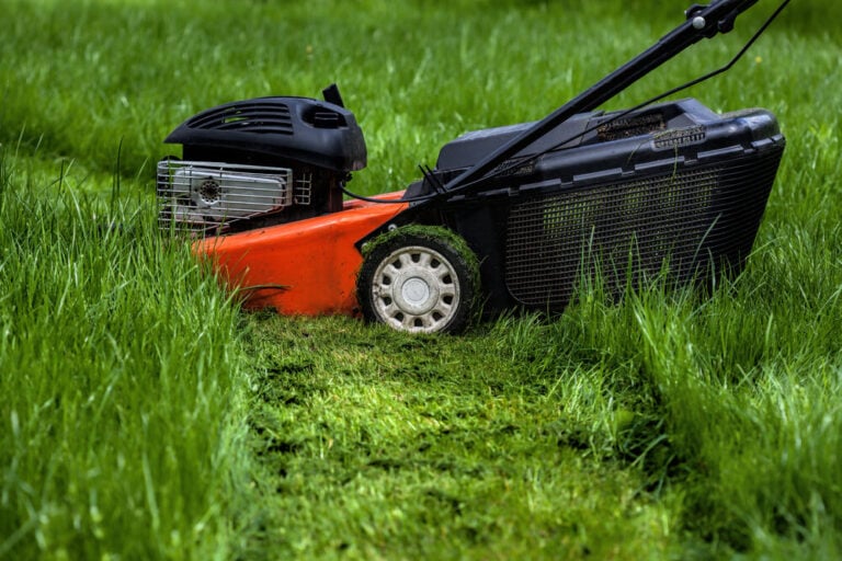 5 Ways to Pick Up Loose Grass Clippings and What To Do With Them