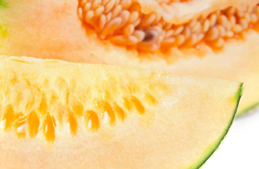 Close up of sliced Crenshaw melon.