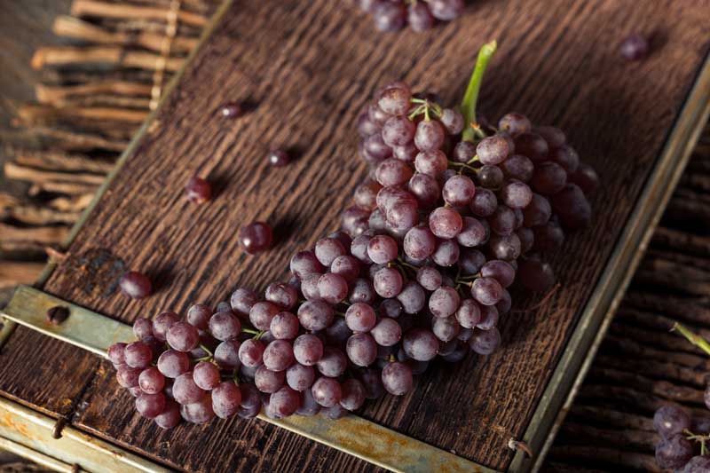 Purple Champagne grapes laying on a rustic, wooden surface.