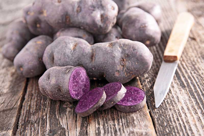 Magic Molly Potato: What Does It Taste Like and How to Grow Them