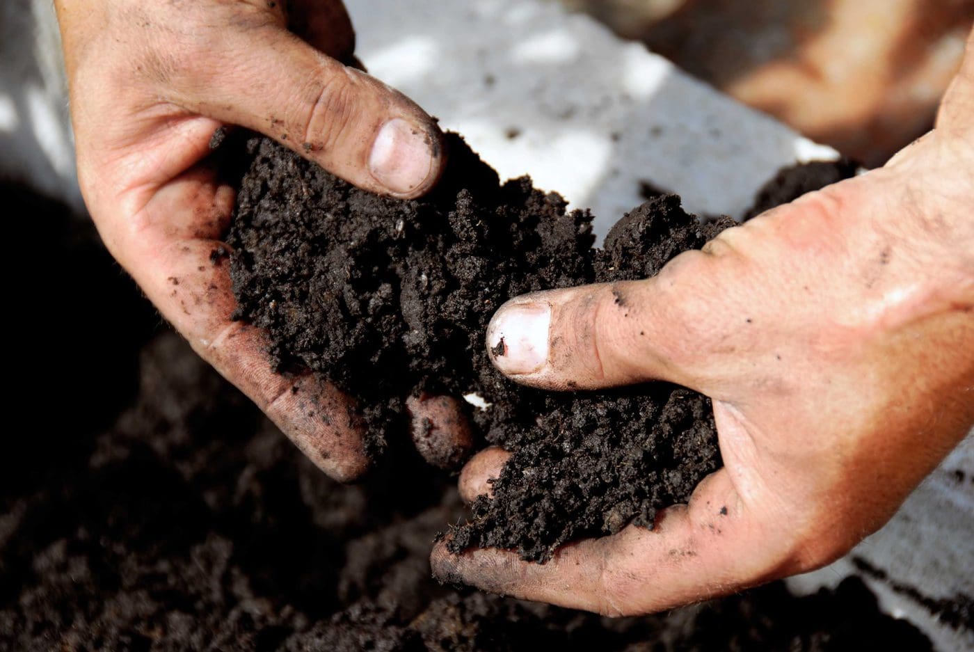 How to Measure and Adjust pH in Garden Soil