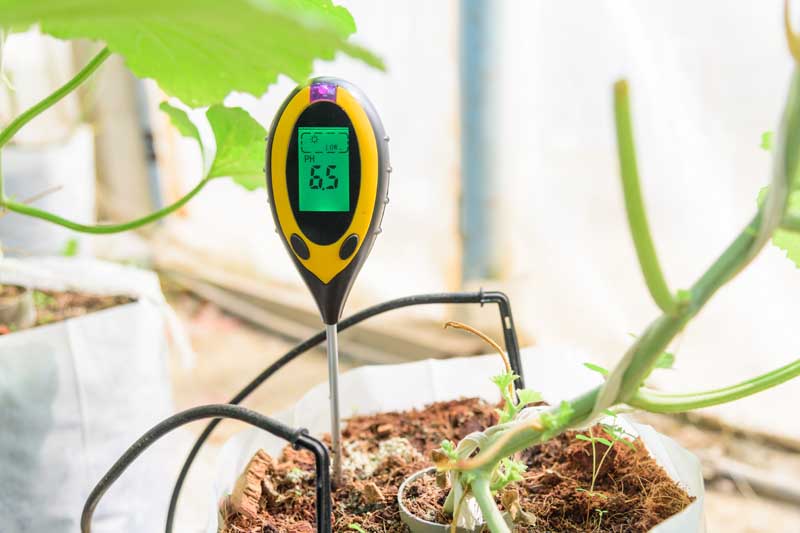 A soil pH meter is used to check the ph level of soil in grow bags.