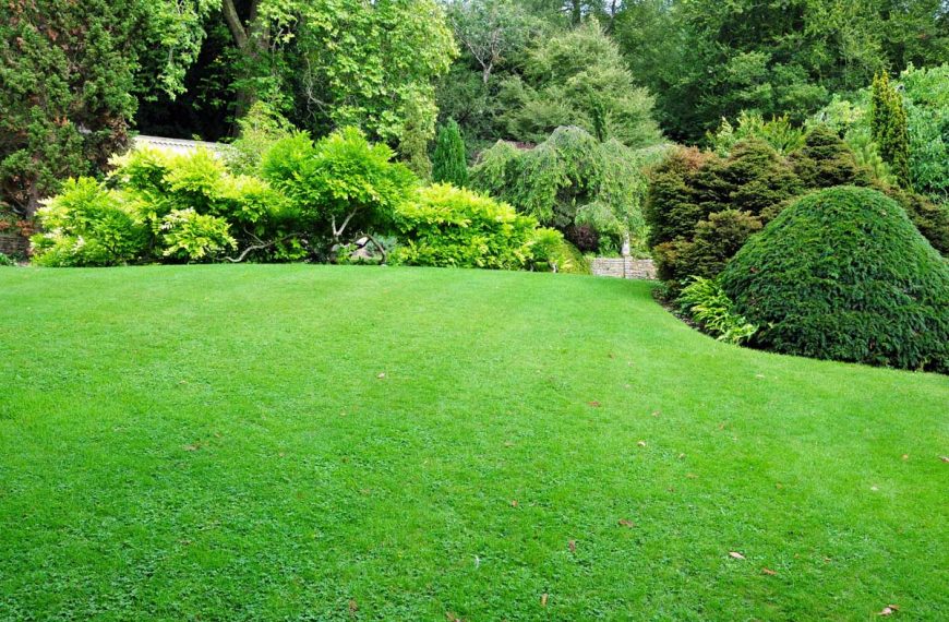Lawn and Landscaping Tips
